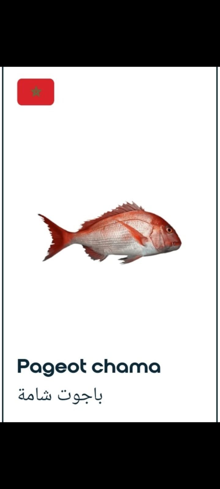 Slide 01