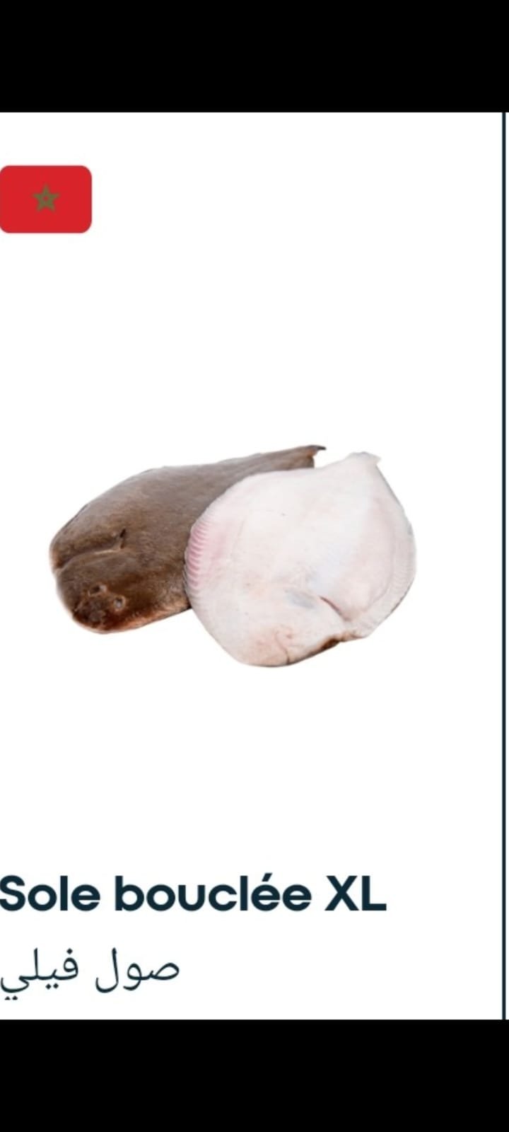 Slide 01
